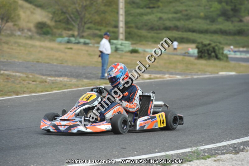DSC (3613).JPG